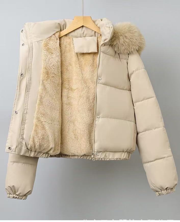 T588-737  Warm inside, warm jacket, cotton jacket